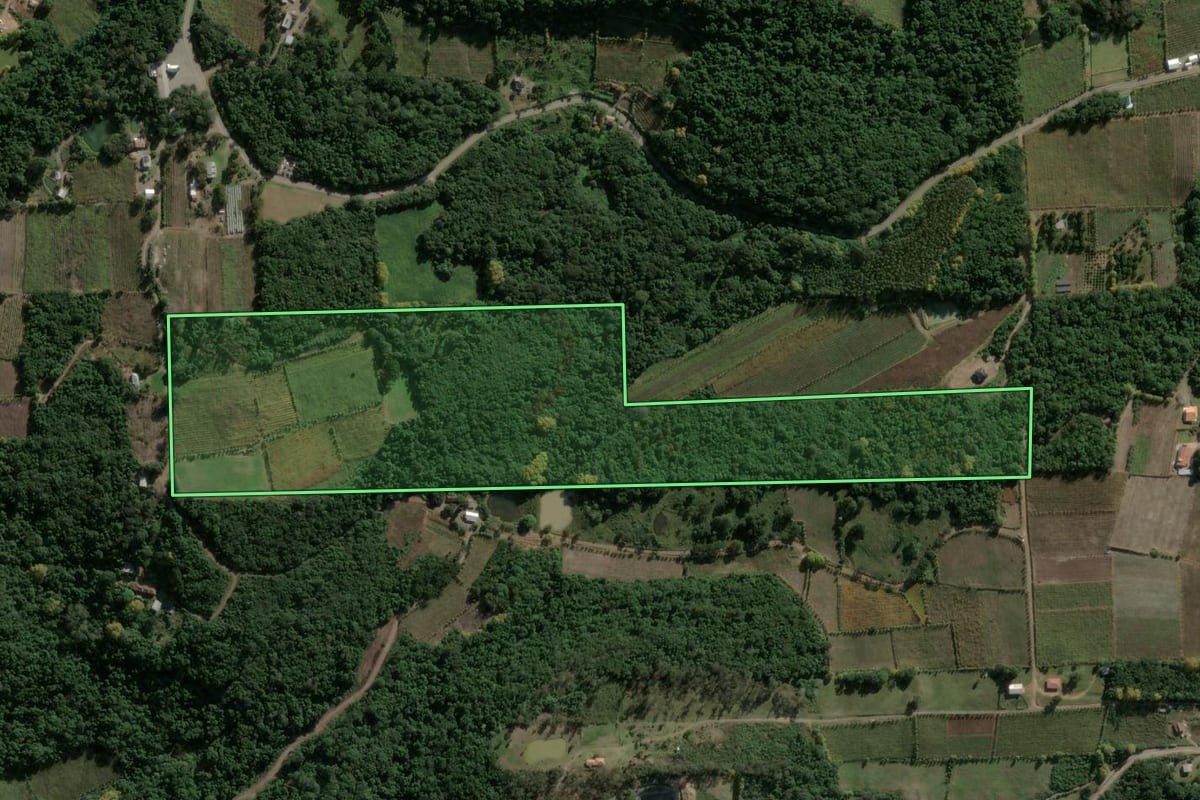 Imagem de satélite do imóvel rural em Garibaldi (RS), com o contorno declarado no CAR desenhado por cima.