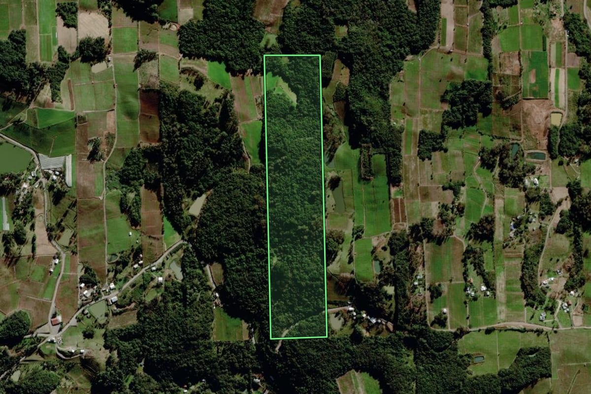 Imagem de satélite do imóvel rural em Garibaldi (RS), com o contorno declarado no CAR desenhado por cima.