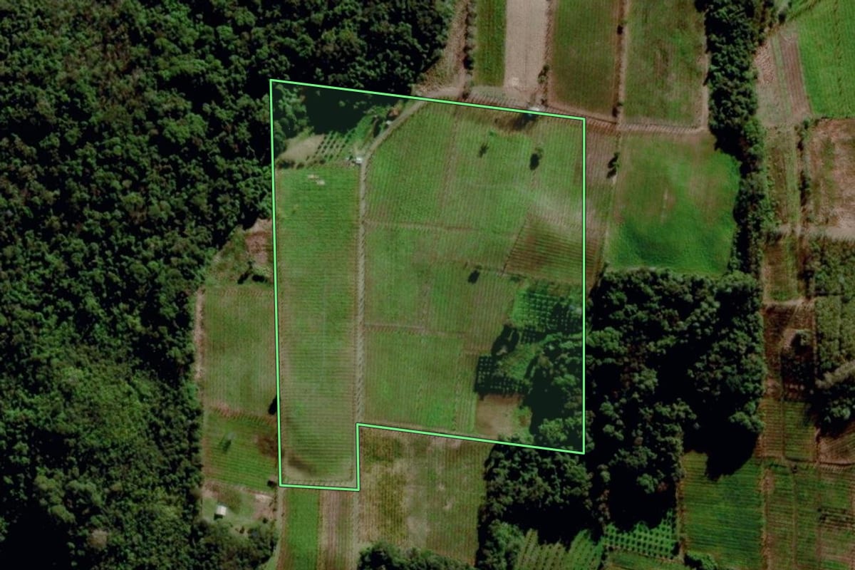 Imagem de satélite do imóvel rural em Garibaldi (RS), com o contorno declarado no CAR desenhado por cima.