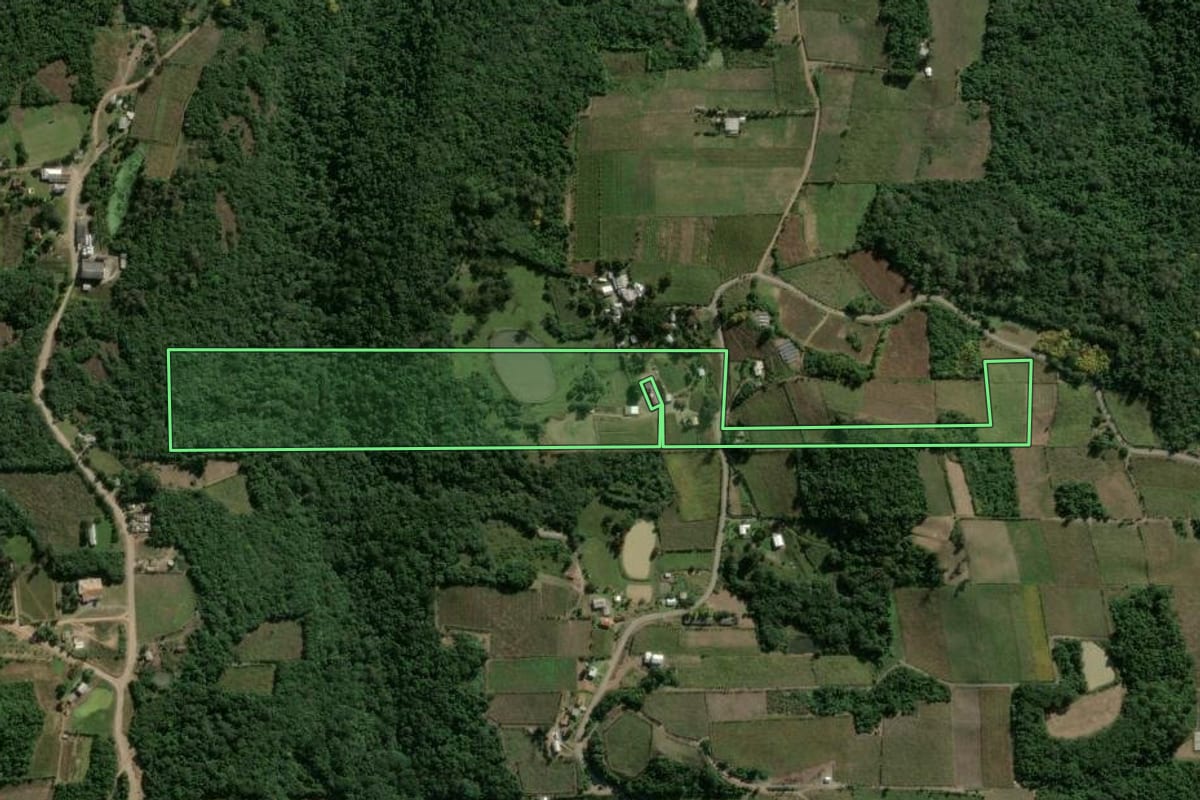 Imagem de satélite do imóvel rural em Garibaldi (RS), com o contorno declarado no CAR desenhado por cima.