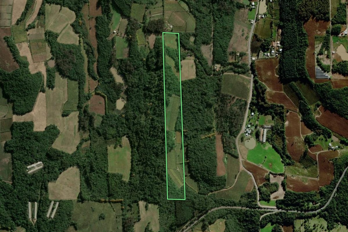 Imagem de satélite do imóvel rural em Garibaldi (RS), com o contorno declarado no CAR desenhado por cima.