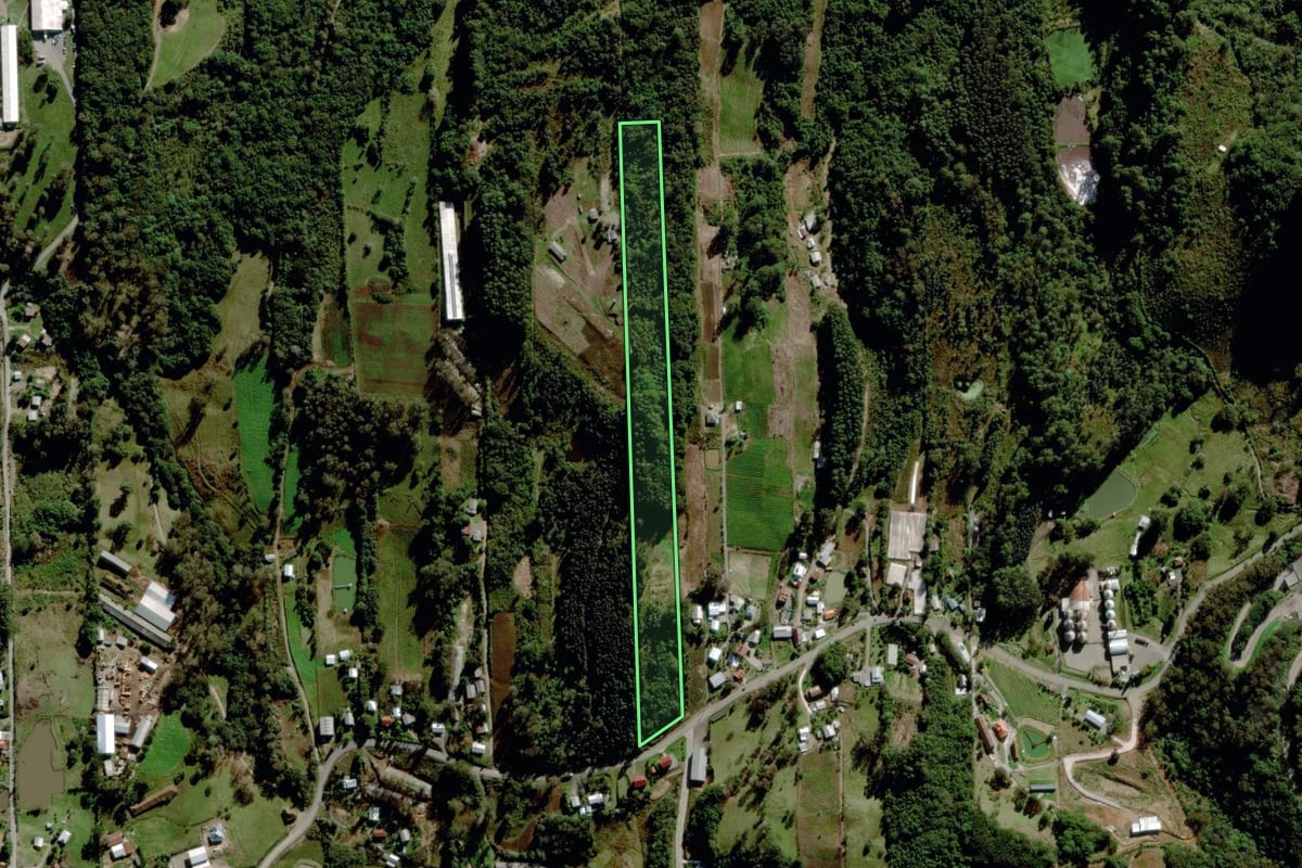 Imagem de satélite do imóvel rural em Garibaldi (RS), com o contorno declarado no CAR desenhado por cima.