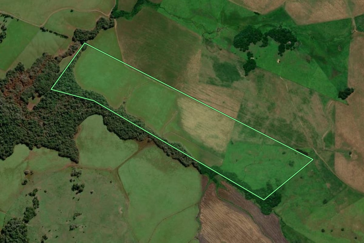 Imagem de satélite do imóvel rural em Garruchos (RS), com o contorno declarado no CAR desenhado por cima.