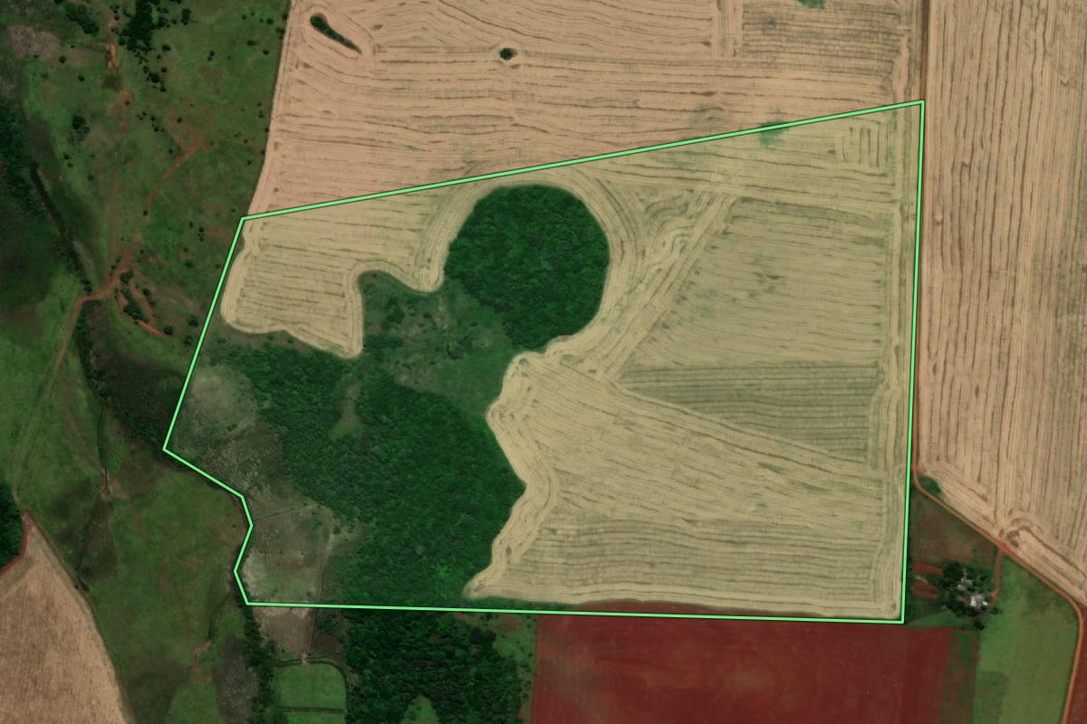 Imagem de satélite do imóvel rural em Garruchos (RS), com o contorno declarado no CAR desenhado por cima.