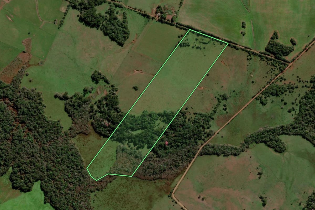 Imagem de satélite do imóvel rural em Garruchos (RS), com o contorno declarado no CAR desenhado por cima.