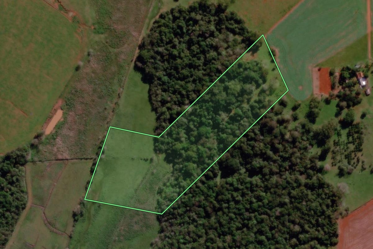 Imagem de satélite do imóvel rural em Garruchos (RS), com o contorno declarado no CAR desenhado por cima.