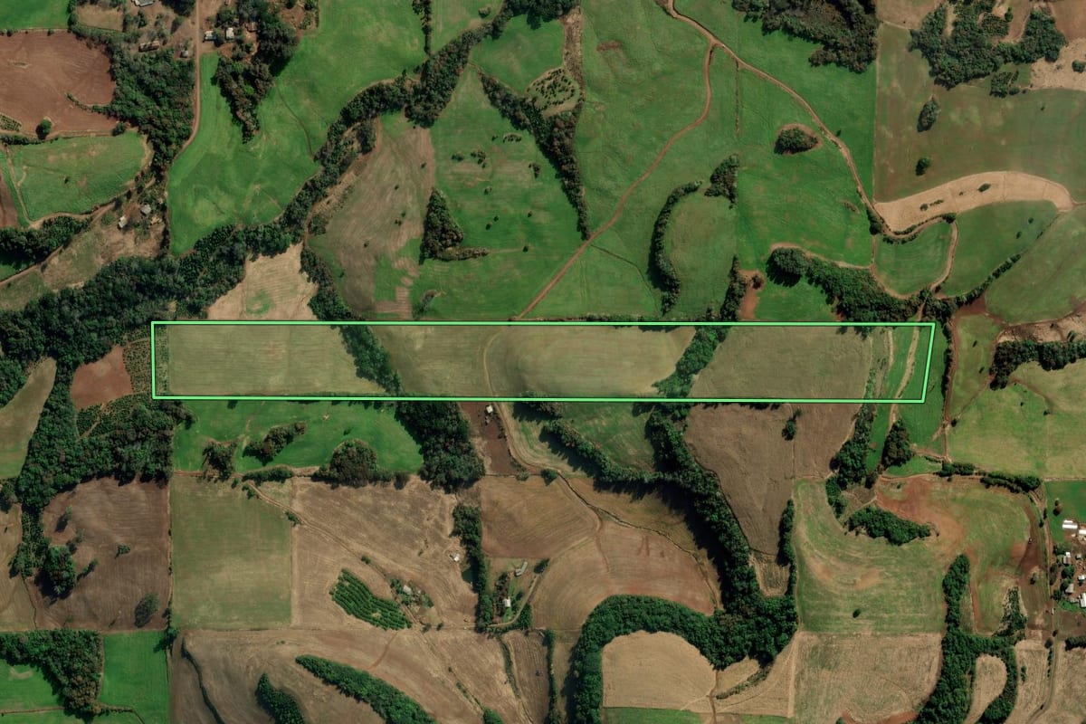 Imagem de satélite do imóvel rural em Gaurama (RS), com o contorno declarado no CAR desenhado por cima.