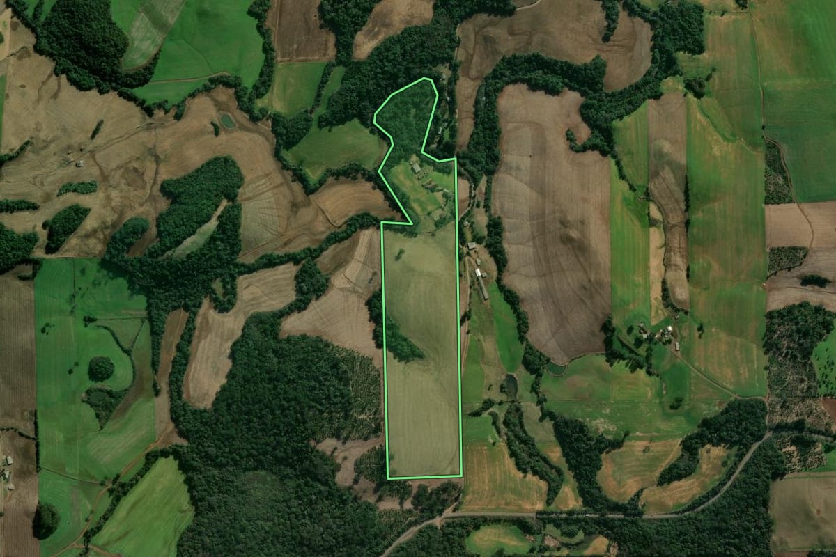 Imagem de satélite do imóvel rural em Gaurama (RS), com o contorno declarado no CAR desenhado por cima.
