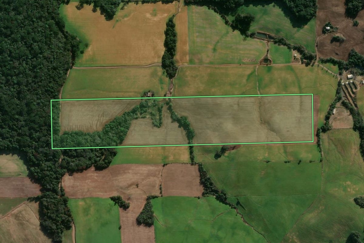 Imagem de satélite do imóvel rural em Gaurama (RS), com o contorno declarado no CAR desenhado por cima.