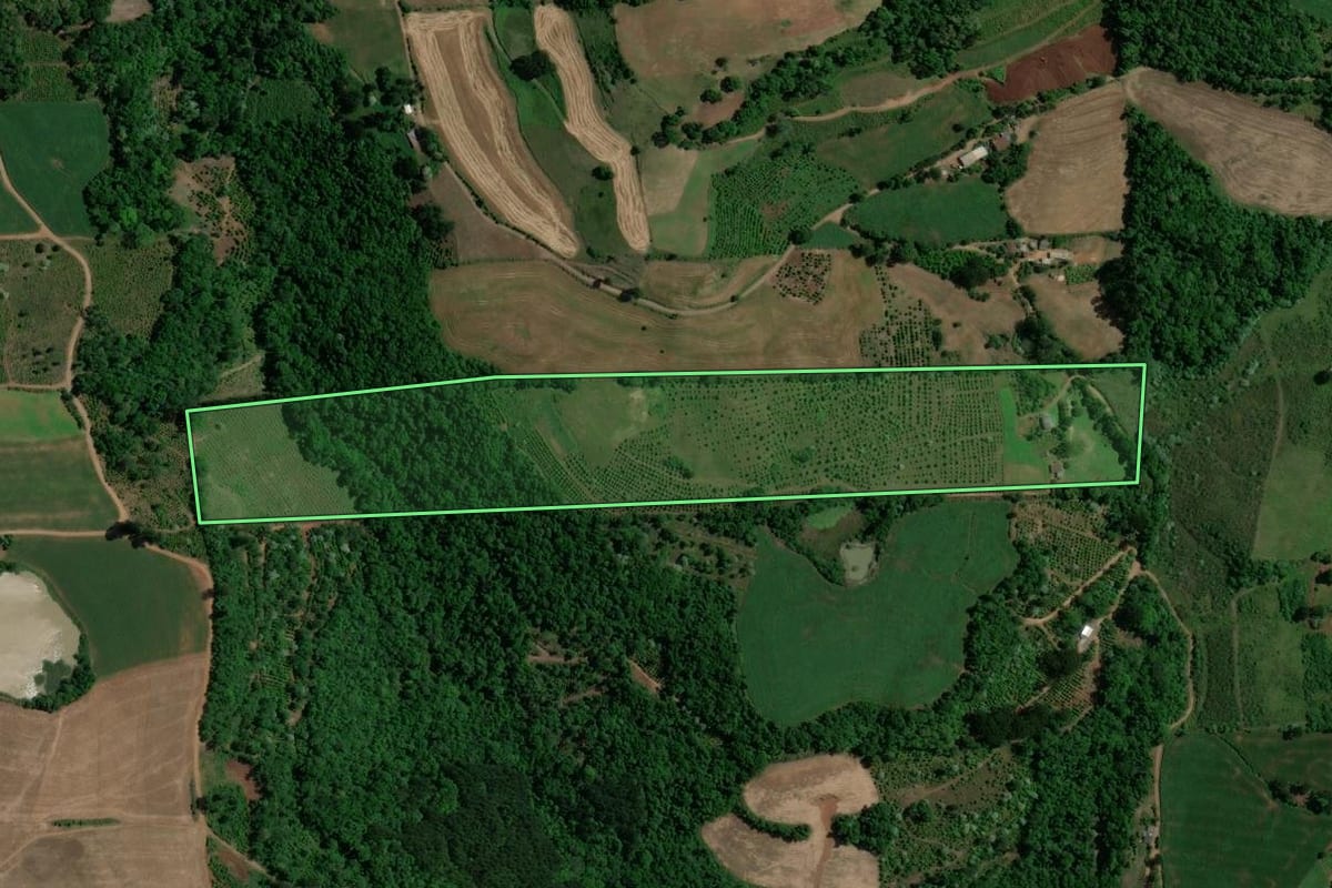 Imagem de satélite do imóvel rural em Gaurama (RS), com o contorno declarado no CAR desenhado por cima.
