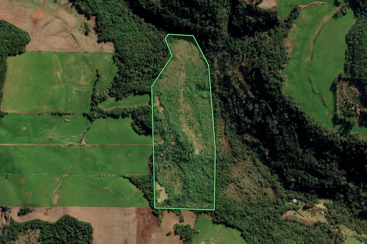Imagem de satélite do imóvel rural em Gaurama (RS), com o contorno declarado no CAR desenhado por cima.