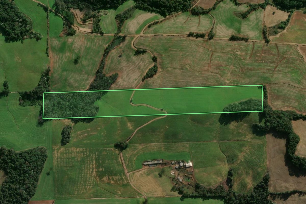 Imagem de satélite do imóvel rural em Gaurama (RS), com o contorno declarado no CAR desenhado por cima.