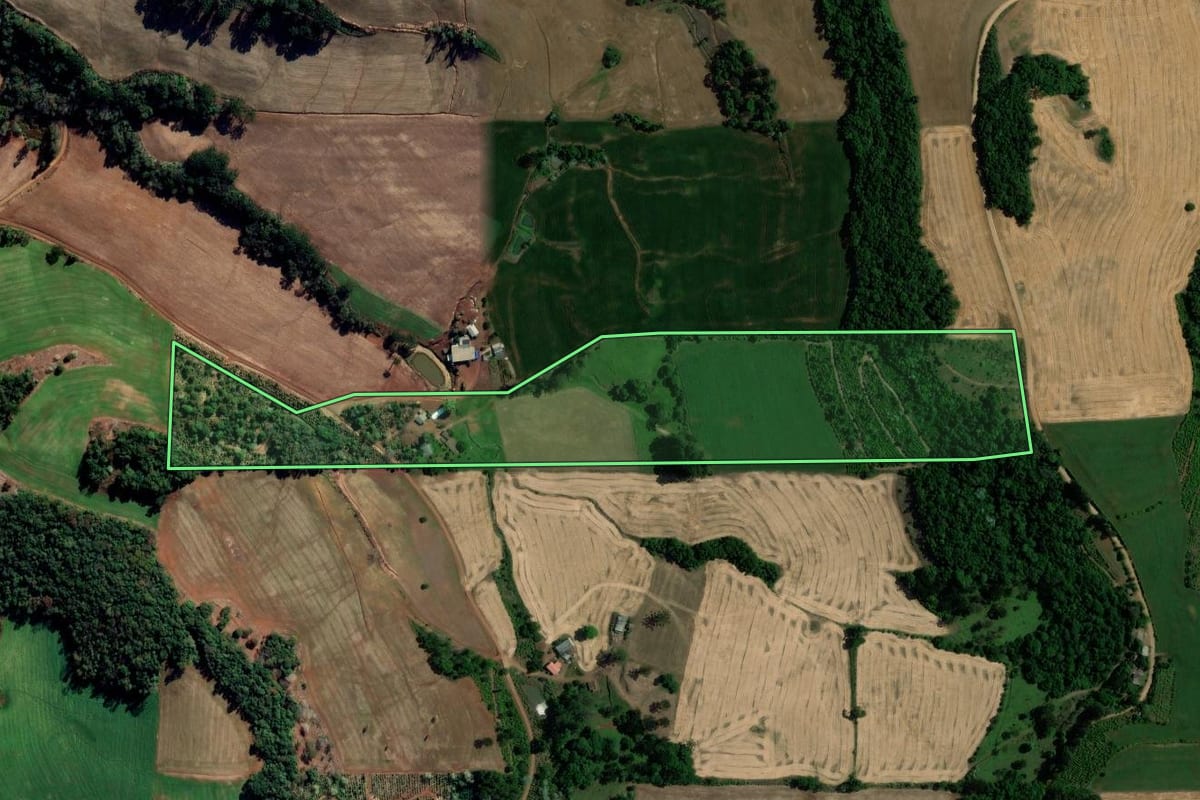 Imagem de satélite do imóvel rural em Gaurama (RS), com o contorno declarado no CAR desenhado por cima.