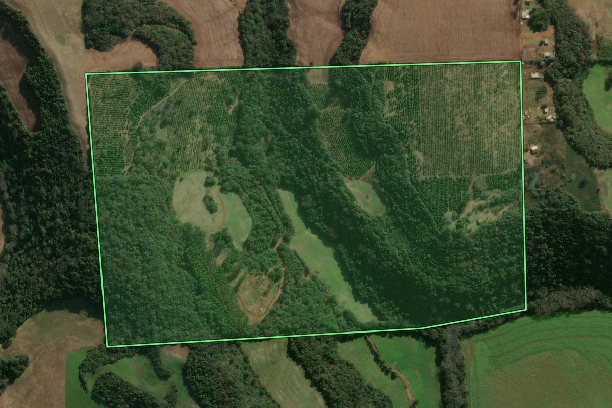 Imagem de satélite do imóvel rural em Gaurama (RS), com o contorno declarado no CAR desenhado por cima.