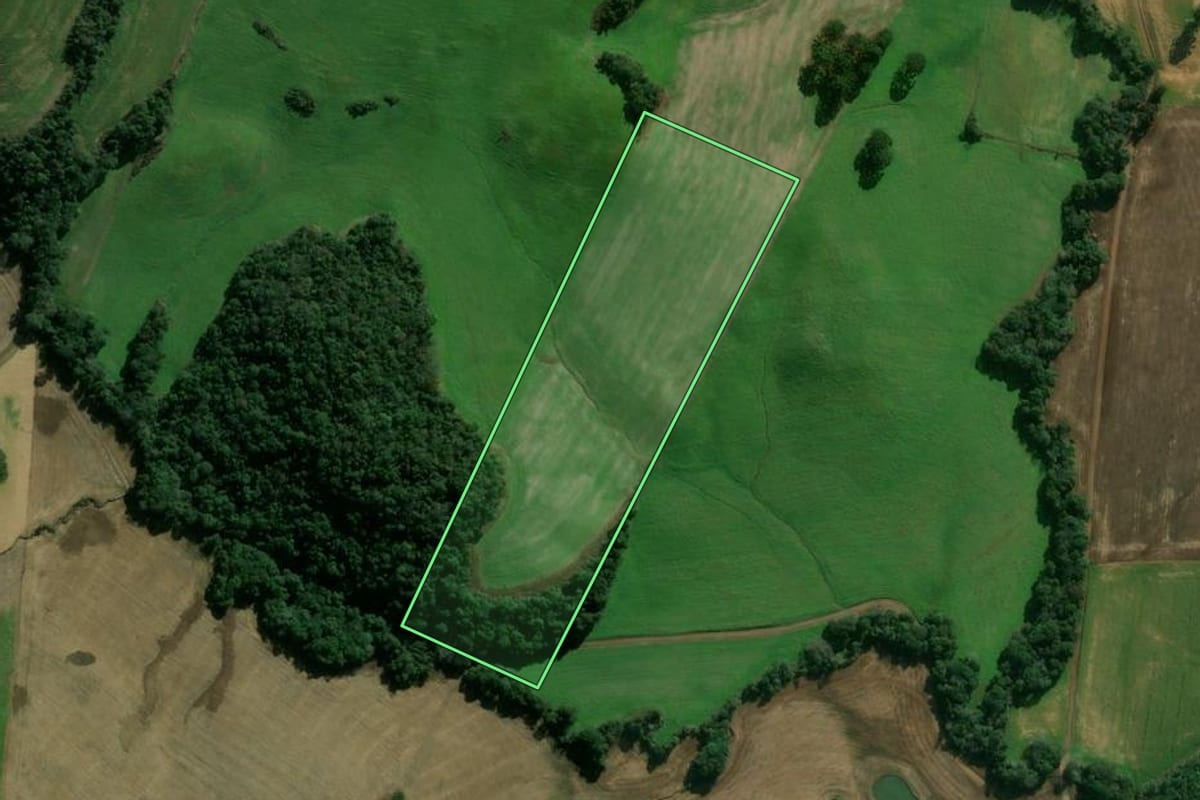 Imagem de satélite do imóvel rural em Gaurama (RS), com o contorno declarado no CAR desenhado por cima.