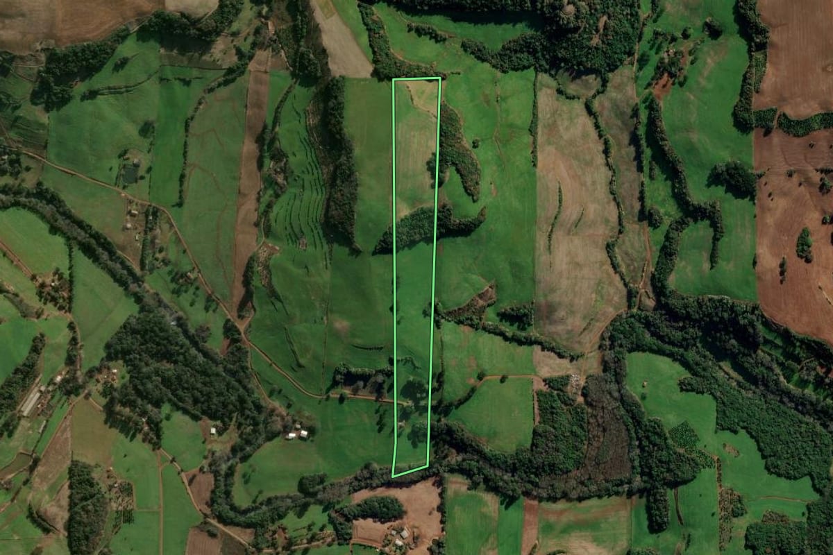 Imagem de satélite do imóvel rural em Gaurama (RS), com o contorno declarado no CAR desenhado por cima.