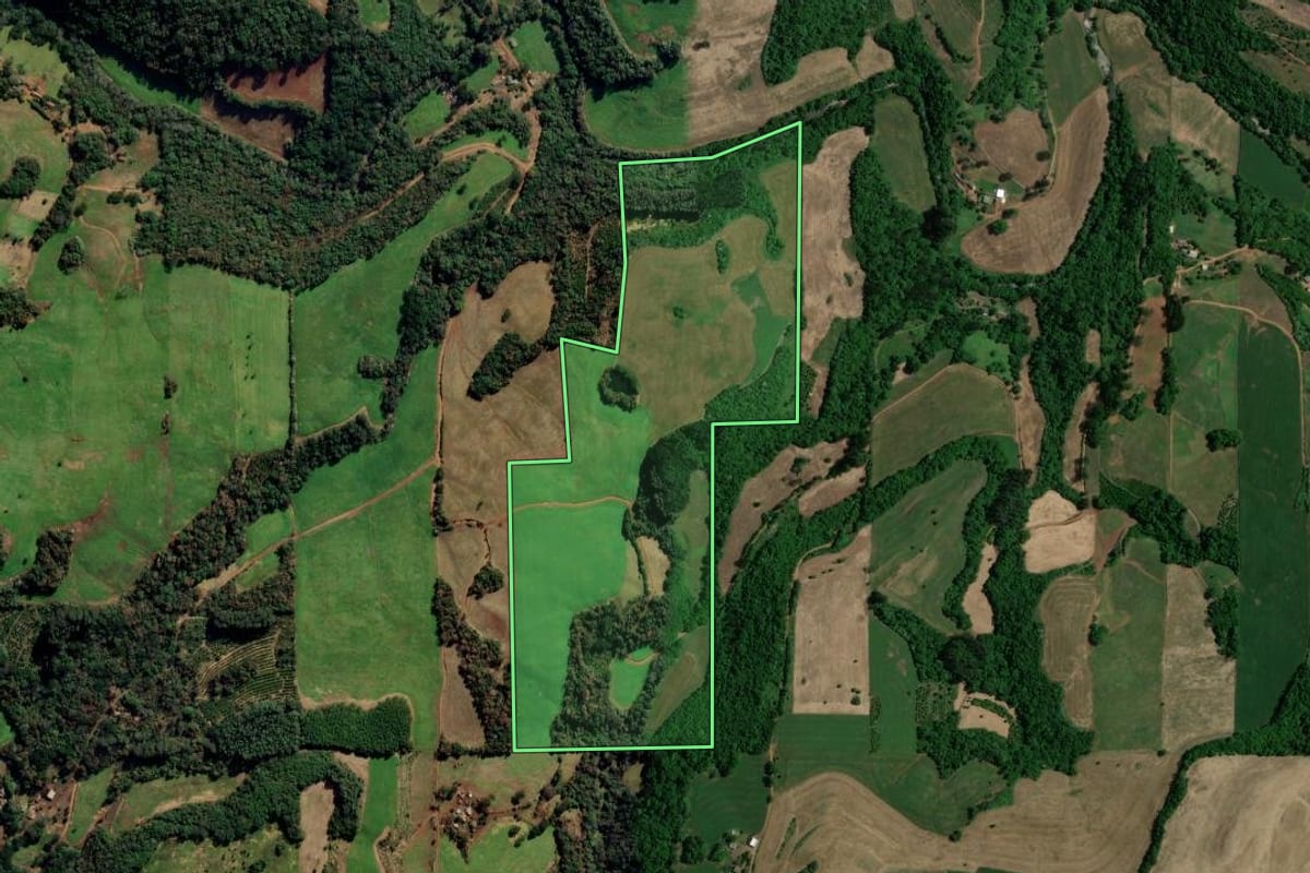 Imagem de satélite do imóvel rural em Gaurama (RS), com o contorno declarado no CAR desenhado por cima.