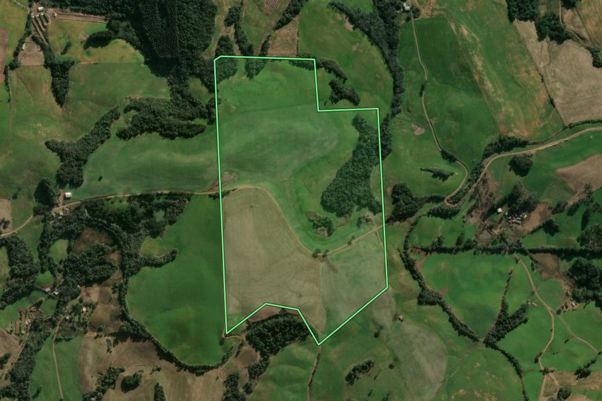 Imagem de satélite do imóvel rural em Gaurama (RS), com o contorno declarado no CAR desenhado por cima.