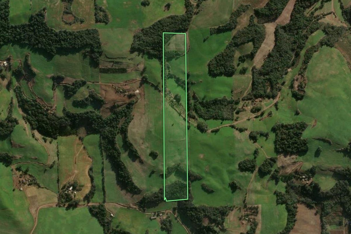 Imagem de satélite do imóvel rural em Gaurama (RS), com o contorno declarado no CAR desenhado por cima.