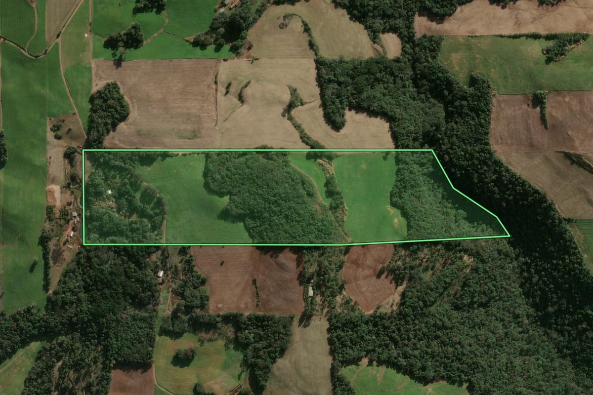 Imagem de satélite do imóvel rural em Gaurama (RS), com o contorno declarado no CAR desenhado por cima.