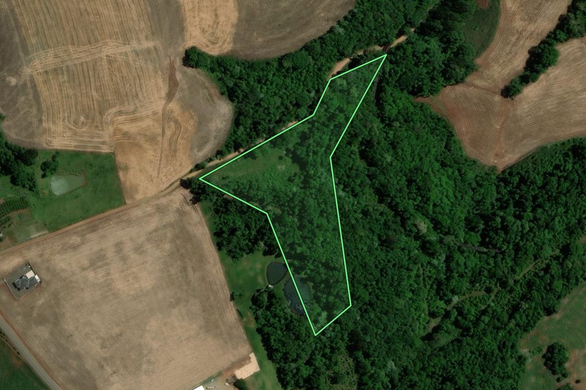 Imagem de satélite do imóvel rural em Gaurama (RS), com o contorno declarado no CAR desenhado por cima.