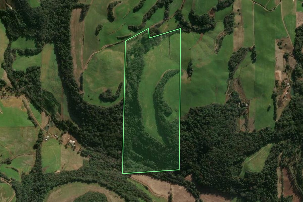 Imagem de satélite do imóvel rural em Gaurama (RS), com o contorno declarado no CAR desenhado por cima.