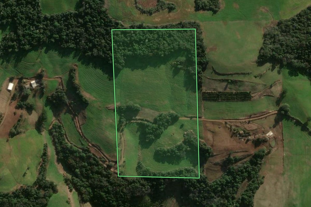 Imagem de satélite do imóvel rural em Gaurama (RS), com o contorno declarado no CAR desenhado por cima.