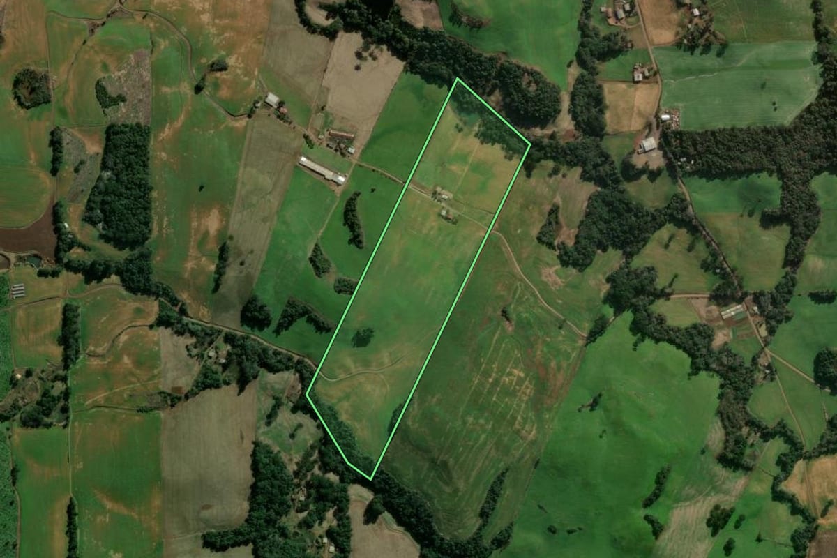 Imagem de satélite do imóvel rural em Gaurama (RS), com o contorno declarado no CAR desenhado por cima.