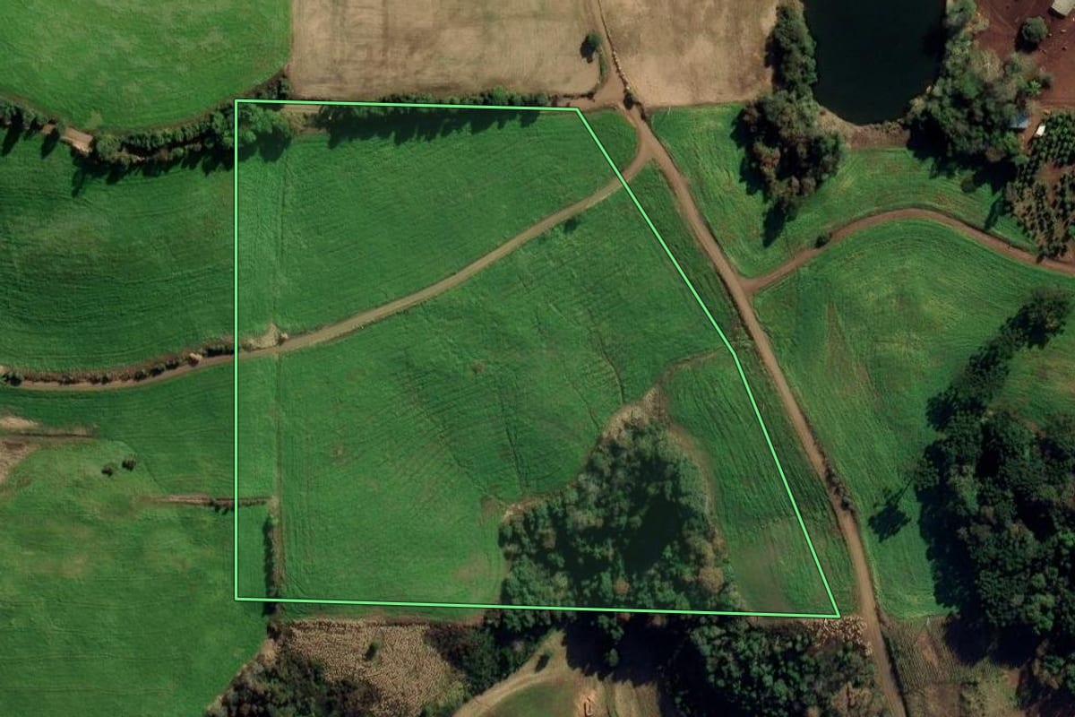 Imagem de satélite do imóvel rural em Gaurama (RS), com o contorno declarado no CAR desenhado por cima.