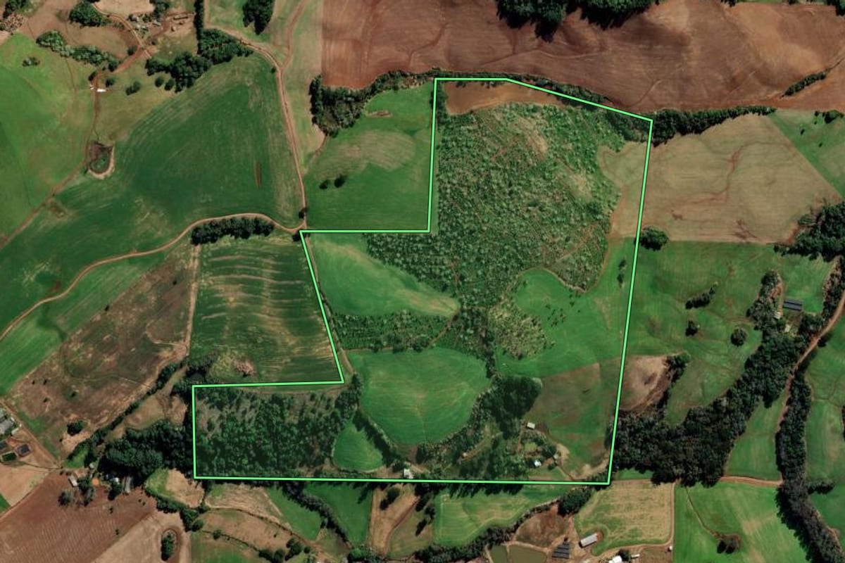 Imagem de satélite do imóvel rural em Gaurama (RS), com o contorno declarado no CAR desenhado por cima.