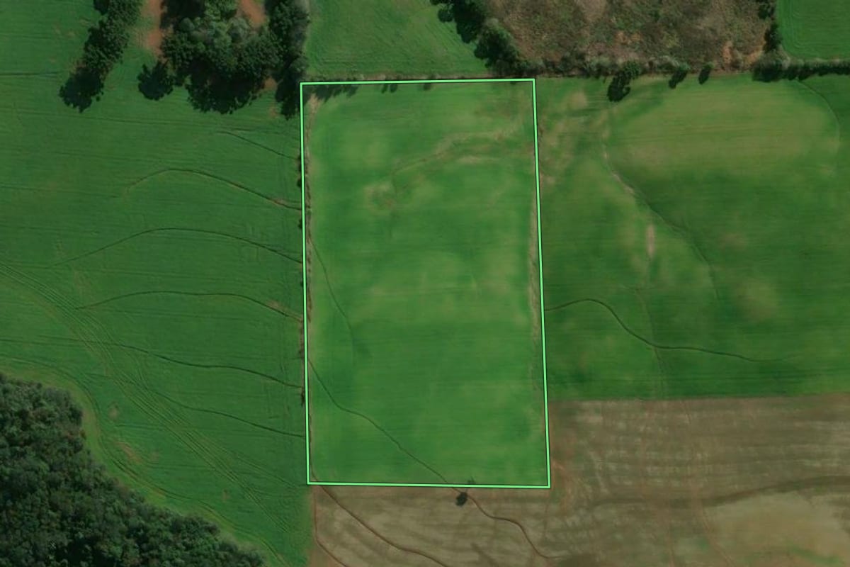 Imagem de satélite do imóvel rural em Gaurama (RS), com o contorno declarado no CAR desenhado por cima.