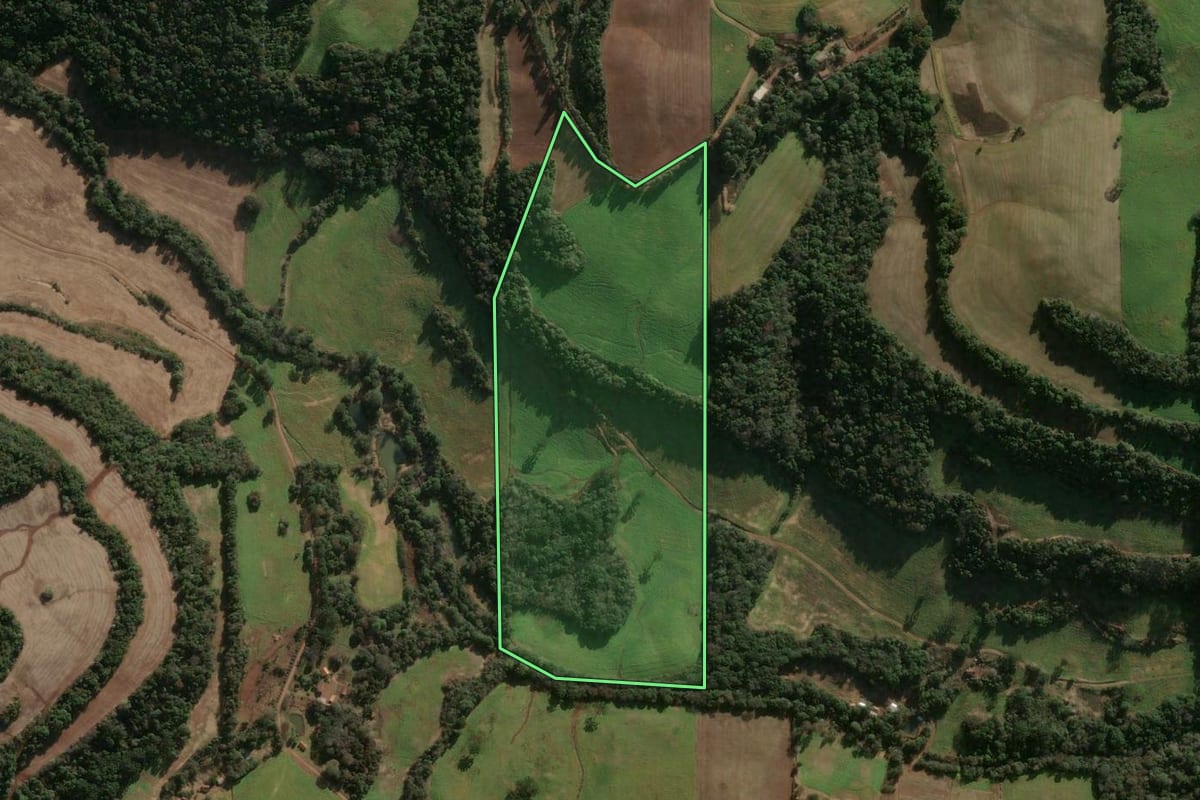 Imagem de satélite do imóvel rural em Gaurama (RS), com o contorno declarado no CAR desenhado por cima.