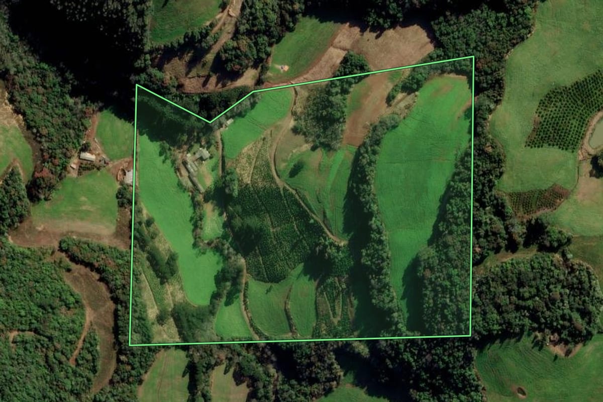 Imagem de satélite do imóvel rural em Gaurama (RS), com o contorno declarado no CAR desenhado por cima.
