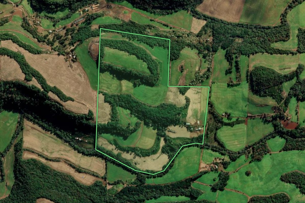 Imagem de satélite do imóvel rural em Gaurama (RS), com o contorno declarado no CAR desenhado por cima.