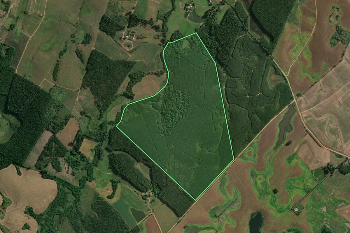 Imagem de satélite do imóvel rural em General Câmara (RS), com o contorno declarado no CAR desenhado por cima.