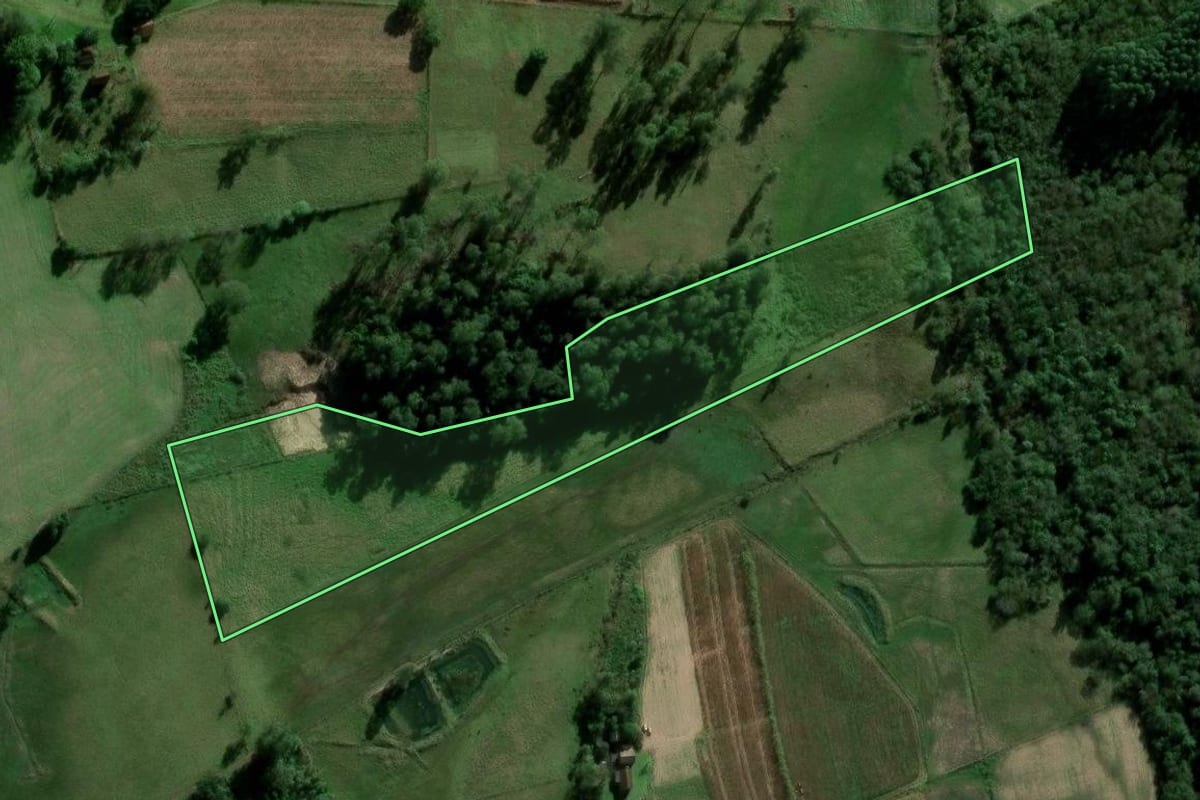 Imagem de satélite do imóvel rural em General Câmara (RS), com o contorno declarado no CAR desenhado por cima.