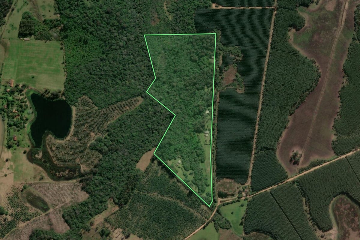 Imagem de satélite do imóvel rural em General Câmara (RS), com o contorno declarado no CAR desenhado por cima.