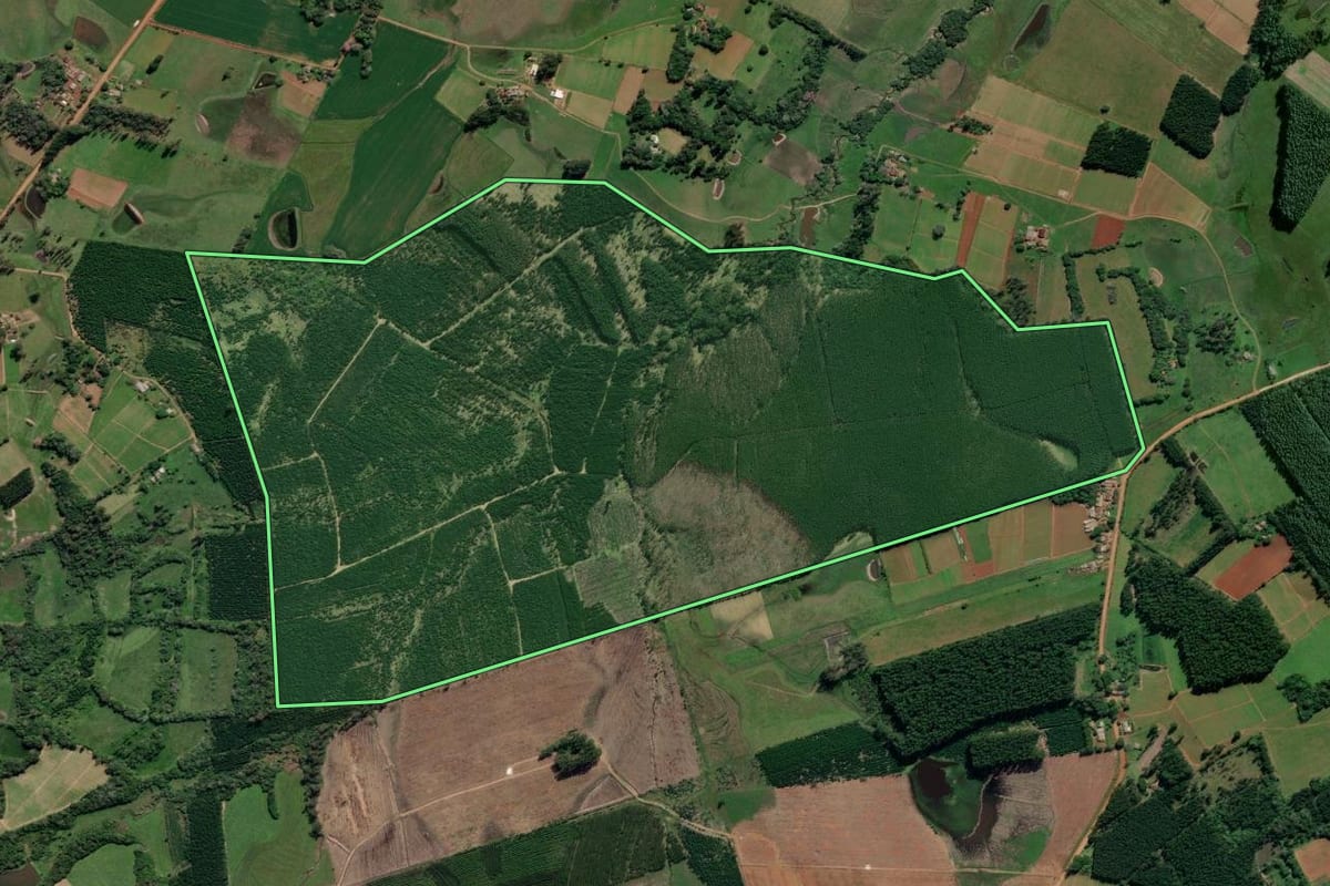 Imagem de satélite do imóvel rural em General Câmara (RS), com o contorno declarado no CAR desenhado por cima.