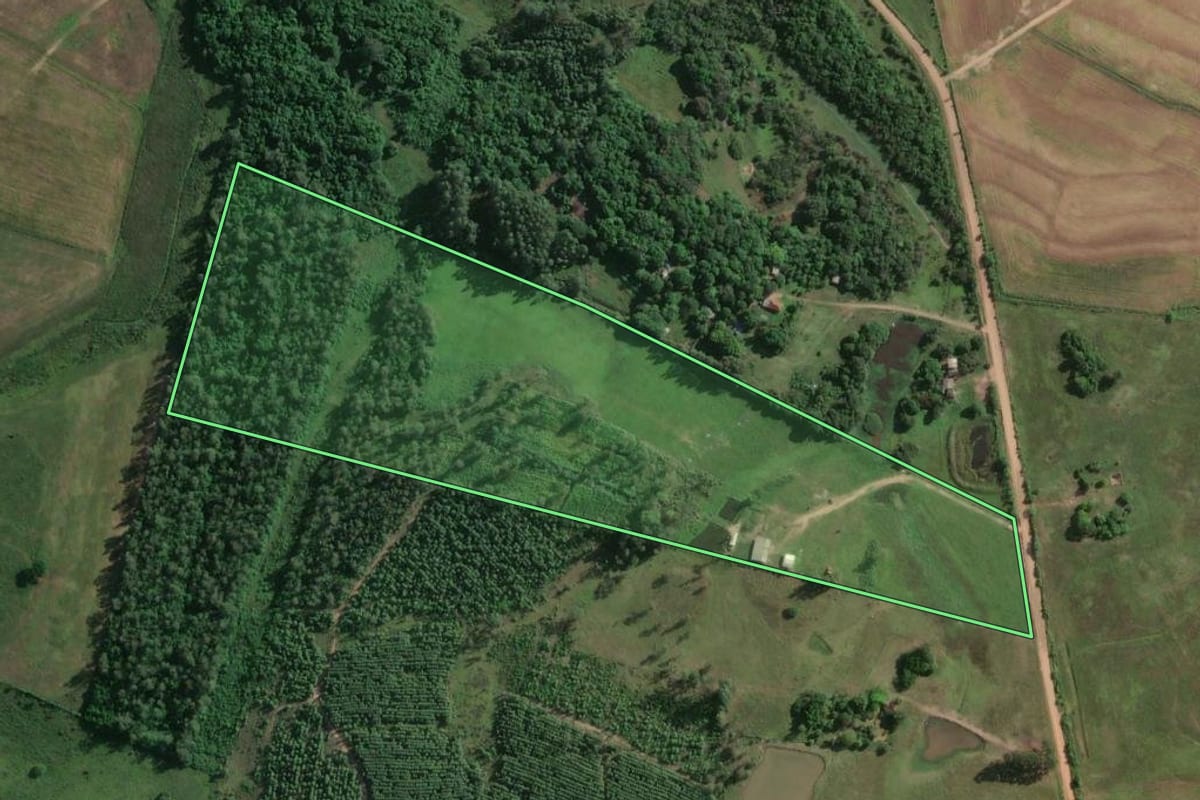 Imagem de satélite do imóvel rural em General Câmara (RS), com o contorno declarado no CAR desenhado por cima.
