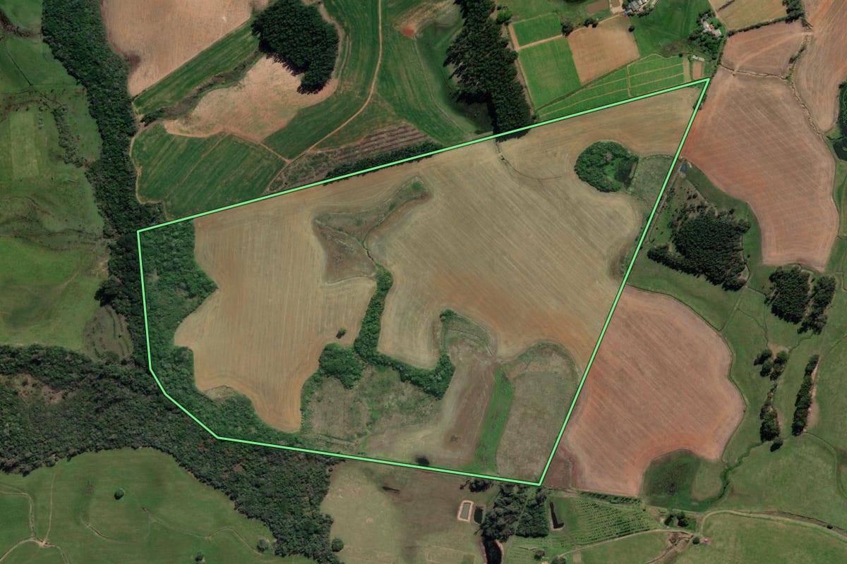 Imagem de satélite do imóvel rural em General Câmara (RS), com o contorno declarado no CAR desenhado por cima.