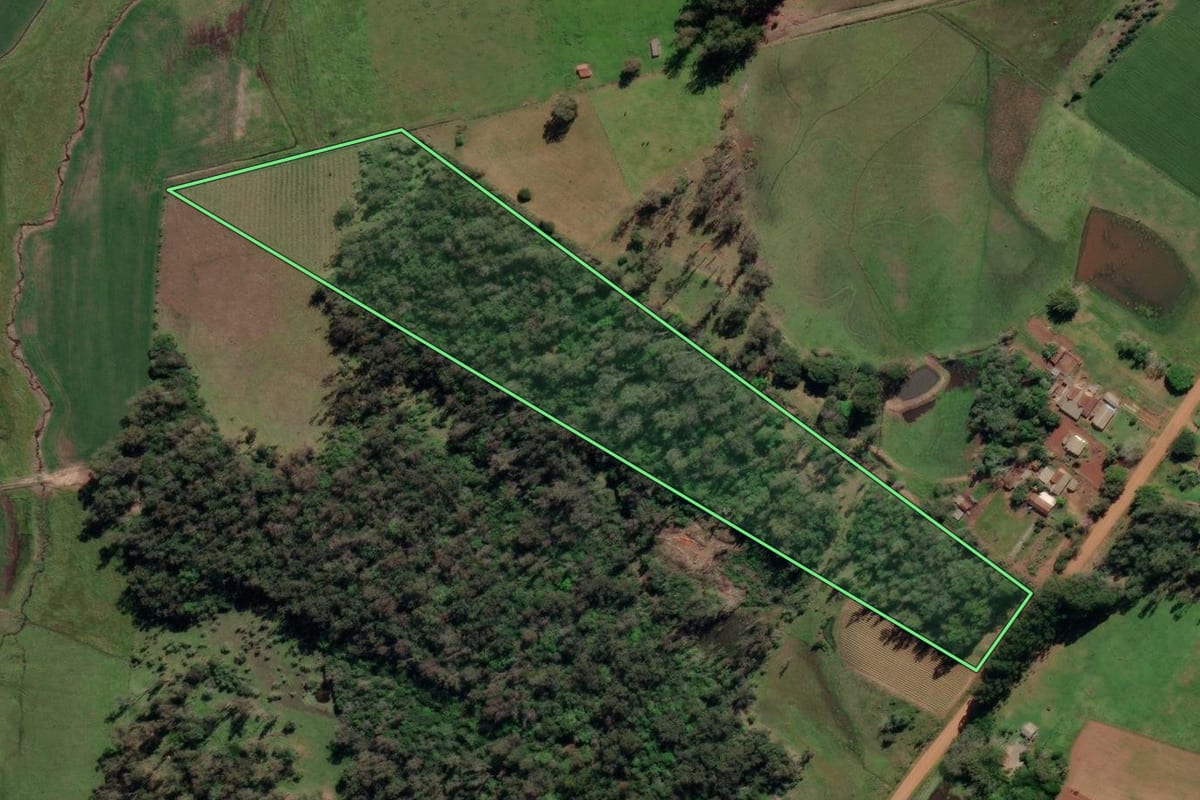 Imagem de satélite do imóvel rural em General Câmara (RS), com o contorno declarado no CAR desenhado por cima.