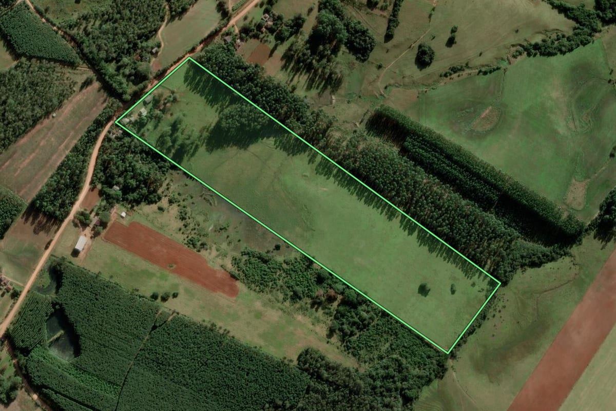 Imagem de satélite do imóvel rural em General Câmara (RS), com o contorno declarado no CAR desenhado por cima.