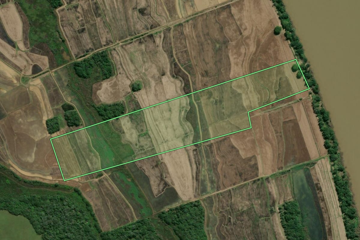 Imagem de satélite do imóvel rural em General Câmara (RS), com o contorno declarado no CAR desenhado por cima.
