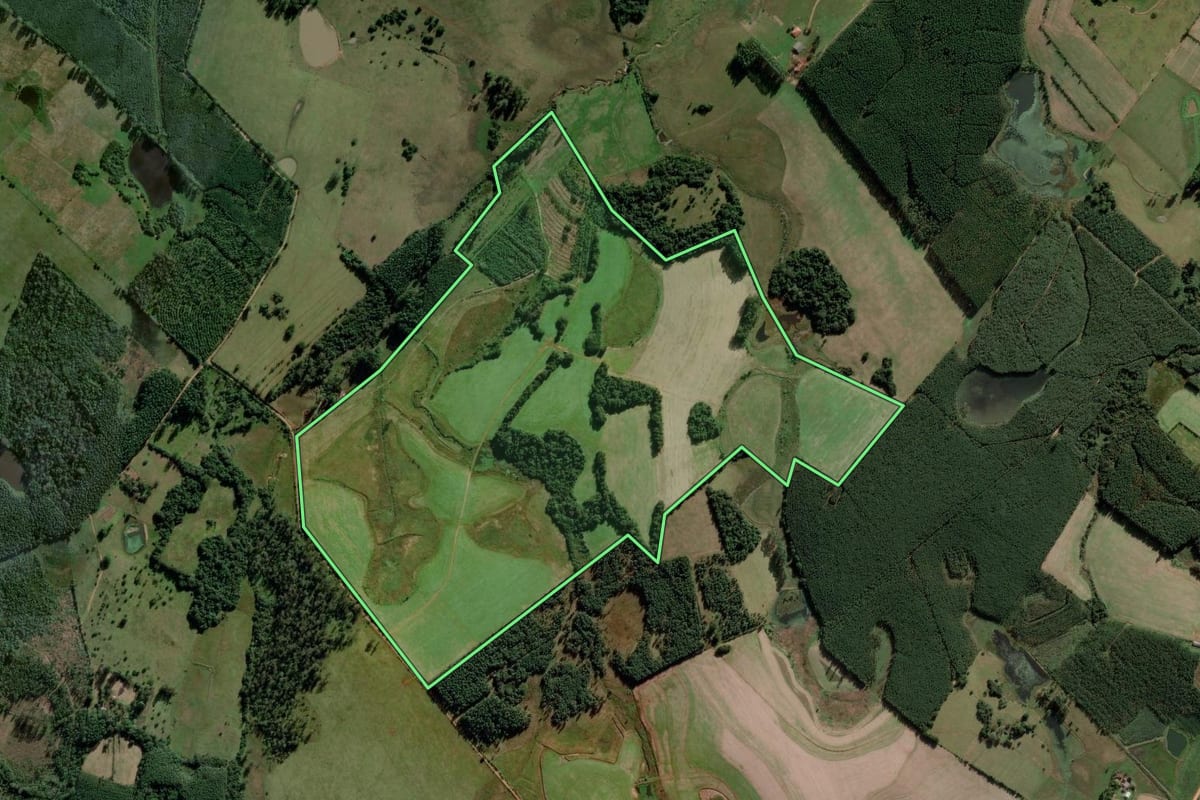 Imagem de satélite do imóvel rural em General Câmara (RS), com o contorno declarado no CAR desenhado por cima.