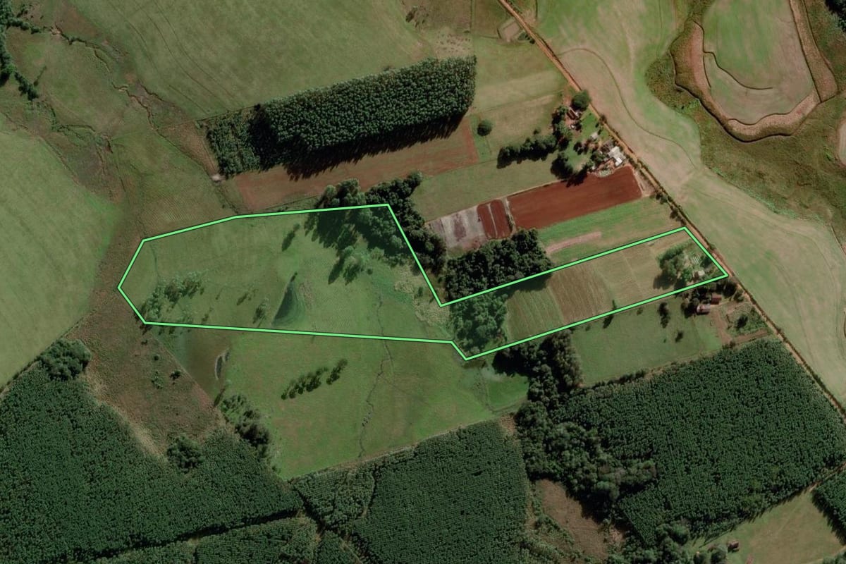 Imagem de satélite do imóvel rural em General Câmara (RS), com o contorno declarado no CAR desenhado por cima.