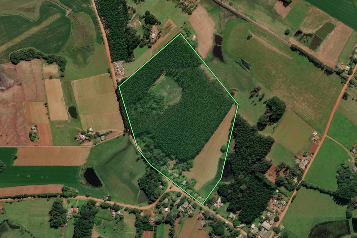 Imagem de satélite do imóvel rural em General Câmara (RS), com o contorno declarado no CAR desenhado por cima.