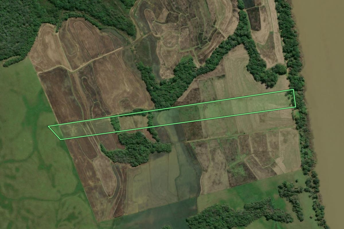 Imagem de satélite do imóvel rural em General Câmara (RS), com o contorno declarado no CAR desenhado por cima.