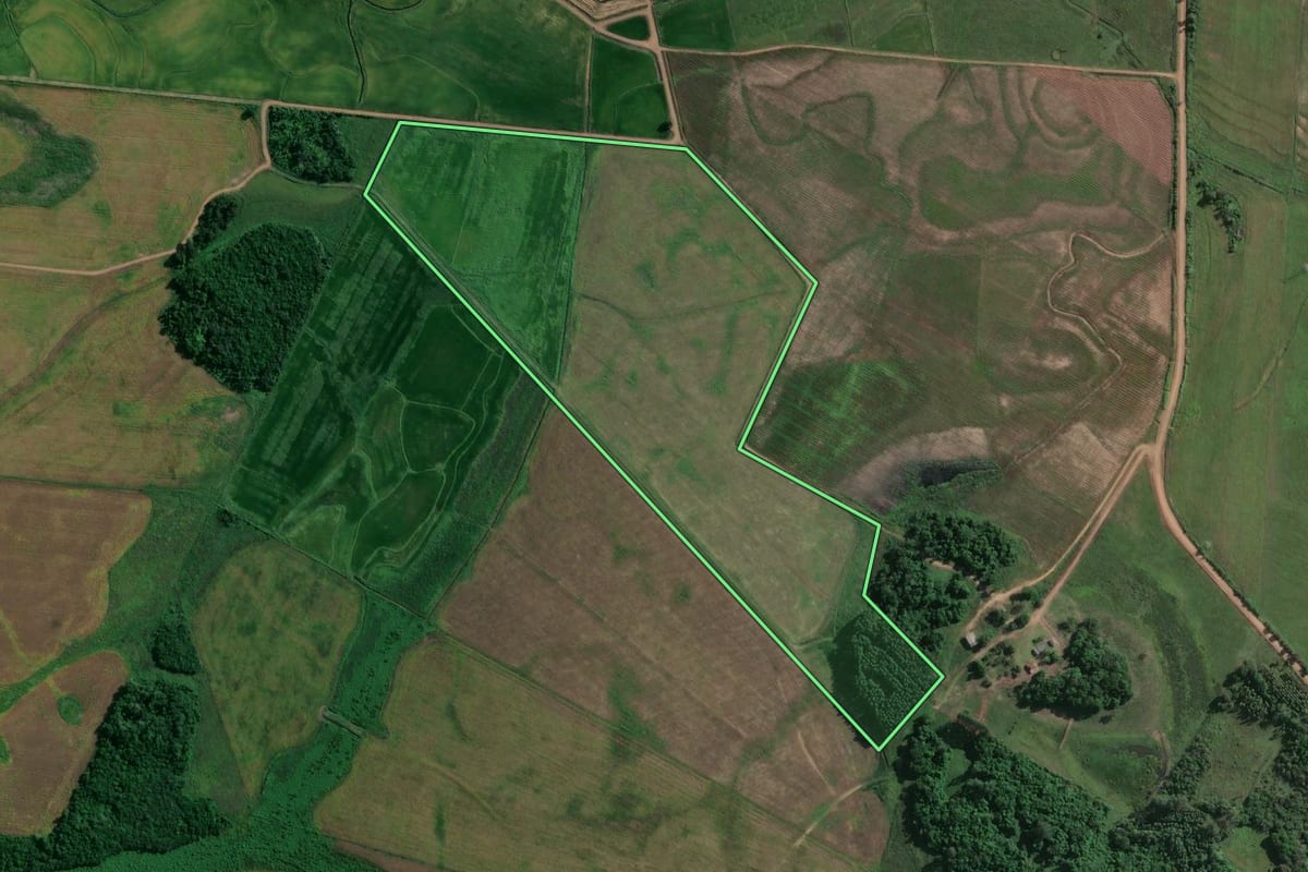 Imagem de satélite do imóvel rural em General Câmara (RS), com o contorno declarado no CAR desenhado por cima.
