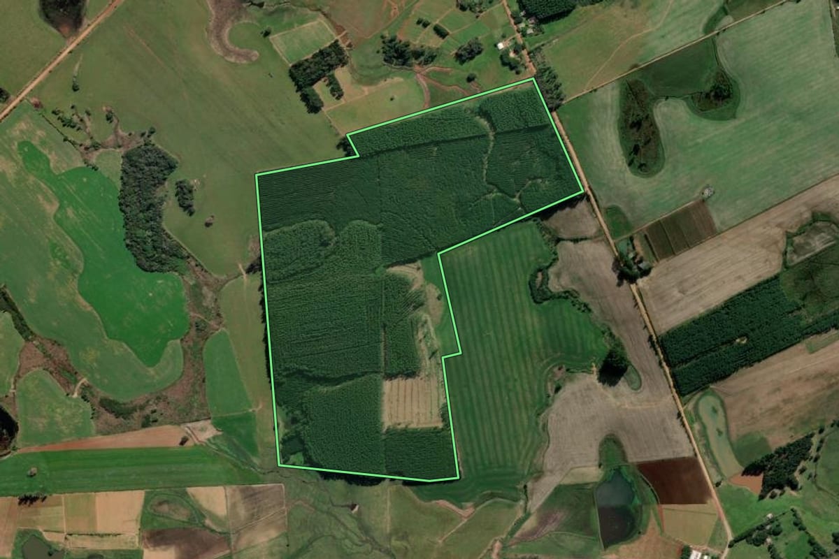 Imagem de satélite do imóvel rural em General Câmara (RS), com o contorno declarado no CAR desenhado por cima.