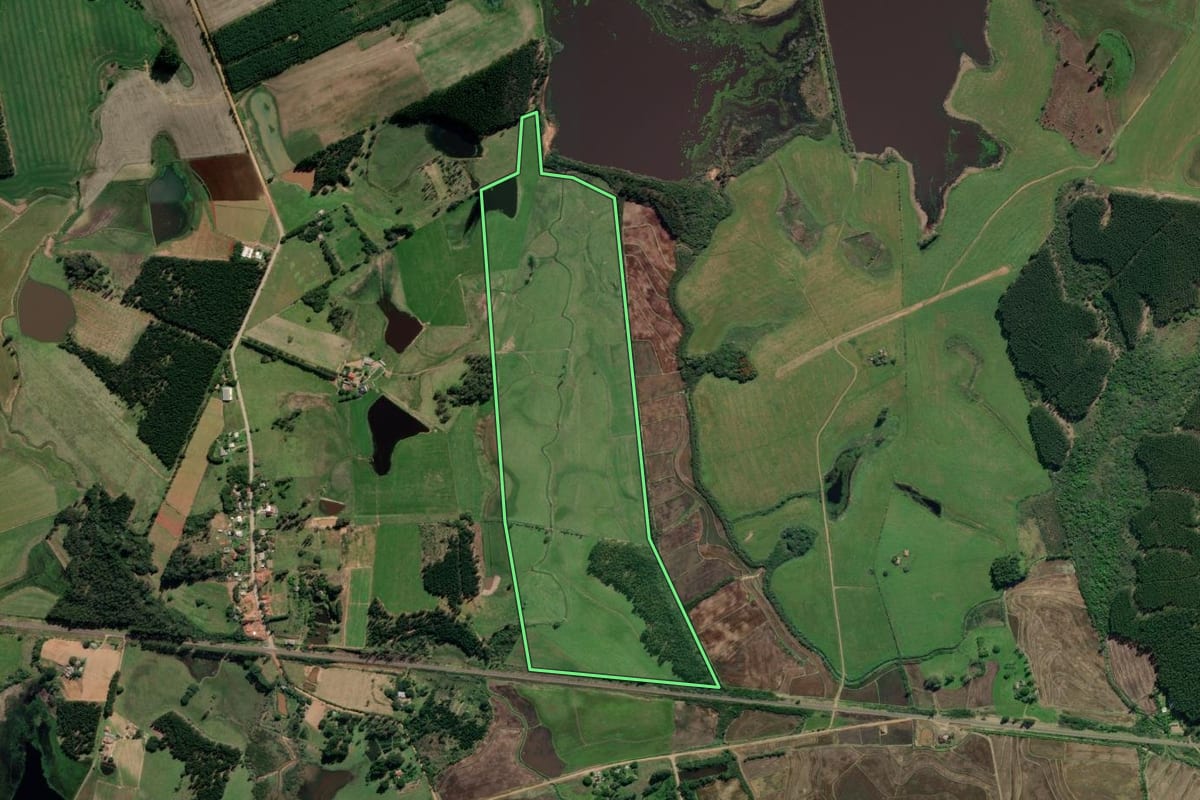 Imagem de satélite do imóvel rural em General Câmara (RS), com o contorno declarado no CAR desenhado por cima.